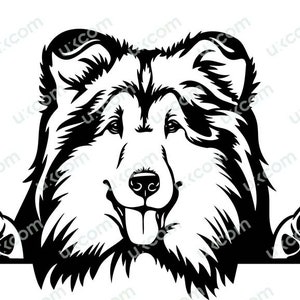 May include: Black and white graphic of a dog's face with paws. The dog has a fluffy coat, a smiling expression, and its tongue is sticking out. The paws are visible on either side of the dog's face.