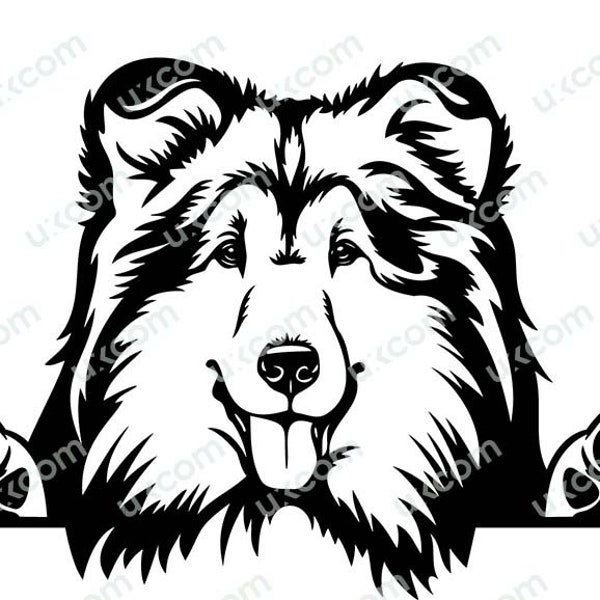 Rough Collie Peeking Dog Commercial Breed Pedigree Canine Pet Hound Animal Logo SVG PNG EPS dxf Clipart Vector Cricut Cut Cutting File