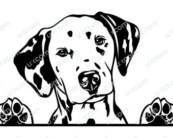 Dalmatian Dog peeking paws SVG Breed Pet Commercial puppy Logo PNG EPS dxf Clipart Vector Cricut Cut Cutting File