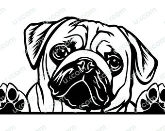 Könnte beinhalten: Eine Schwarzweißillustration eines Mops, der mit seinen Pfoten auf einer Oberfläche über diese schaut. Der Mops hat ein faltiges Gesicht und große, runde Augen.