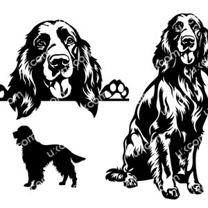 Setter irlandese SVG felice Setter irlandese Peeking Dog Pacchetto commerciale set razza canina PNG EPS Clipart Vector Cricut Cut Cutting File pedigree