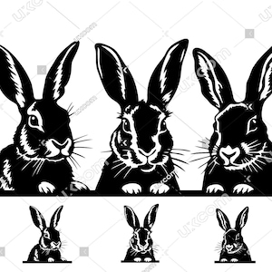 Bunny svg peeking bunnies 3 cricut Easter cut file rabbits commercial CNC Svg Dxf vinyl cute bunny clipart tshirt cut file laser sublimation