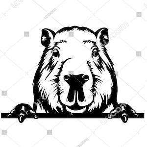 Capybara svg peeking capybara cricut capybara cut file commercial CNC Svg Dxf vinyl decals capybara clipart tshirt cutting laser sublimation