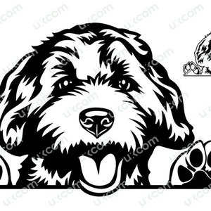 Labradoodle Goldendoodle Peeking Dog Commercial Race Pedigree Canine Pet Logo SVG PNG EPS Clipart Vector Cricut Cut Cutting File