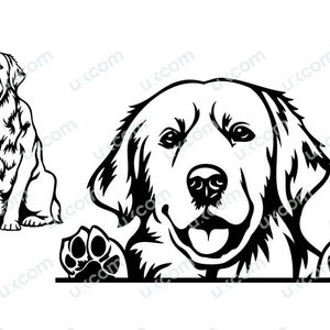 Golden retriever Labrador Peeking Dog svg Paws Commercial Breed Puppy Pet Hound Animal Logo PNG EPS Clipart Vector Cricut Cut Cutting File