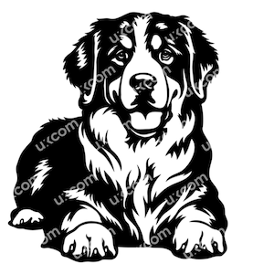Bovaro del Bernese corpo completo bernese SVG Bernese commerciale Canino bernese che posa razza CNC Svg Dxf Png EPS Clipart Cricut Cut File vinile