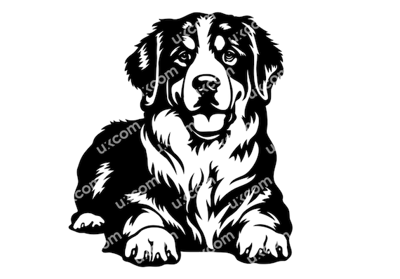 バーニーズ マウンテン ドッグ全身バーニーズ SVG 商業バーニーズ犬