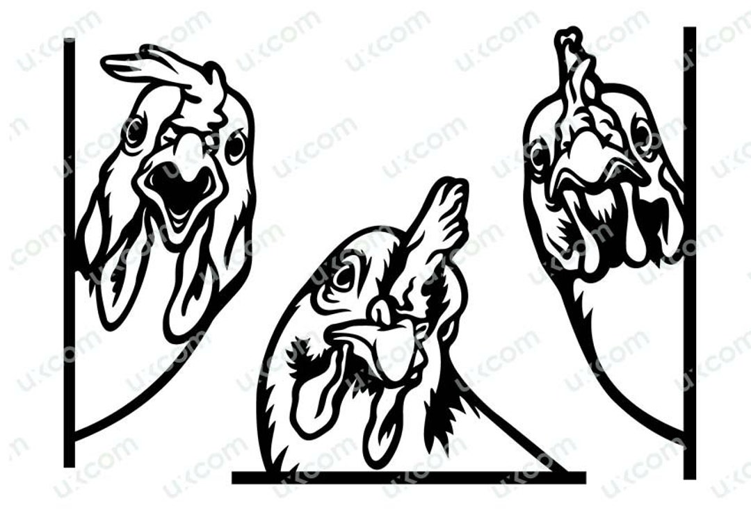 Chicken Svg Funny Set Commercial Chicken Farm Hen Logo Love Etsy Canada