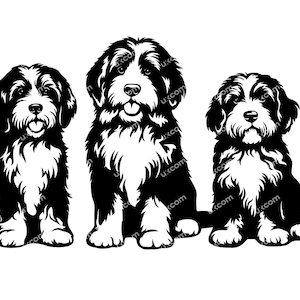 May include: Three black and white dogs sitting in a row. The dogs are all facing forward and have their tongues sticking out. They have fluffy fur and are all the same breed.
