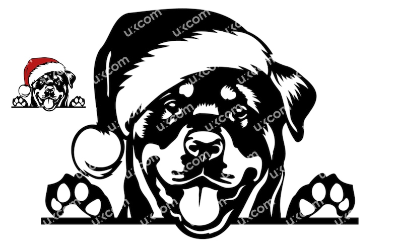 Rottweiler Peeking Dog Paws Santa Hat Christmas Commercial Rottie ...