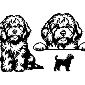 Cavapoo Peeking Svg set 3 simpatico cane cavoodle doodle mamma ape commerciale Canine CNC Svg Ai Dxf Png EPS Clipart Cricut Cut File vinile laser