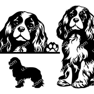 Cavalier King Charles Spaniel Peeking Dog cavalier svg cavalier mamá Conjunto comercial Logo Dxf PNG EPS Clipart Cricut Archivo de corte láser de vinilo