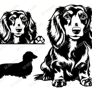 Teckel langharige gluren hond SVG bundel set doxie commerciële rassen teckel logo vinyl stickers. SVG. PNG clipart vector Cricut snijden