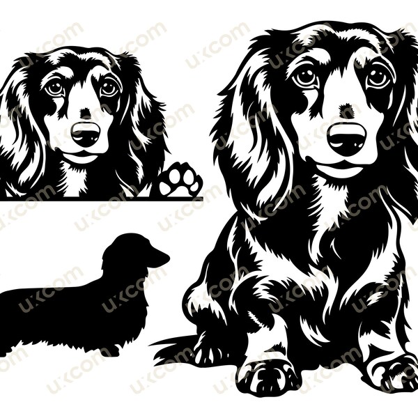 Dachshund Long haired Peeking Dog svg bundle set doxie Commercial breeds dachshund Logo vinyl decals .SVG .PNG Clipart Vector Cricut Cutting