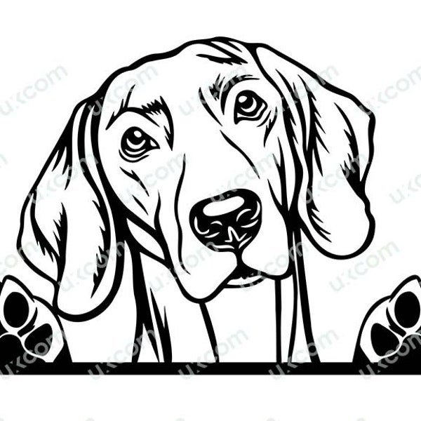 Weimaraner Peeking Dog Paws breed Pedigree Canine Pet Hound Animal Logo Commercial SVG PNG EPS Clipart Vector Cricut Cut Cutting File