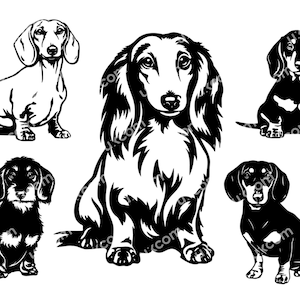 Dachshund Svg set Bundle 5 dachshund types breed doxie Commercial breeds dachshund Logo vinyl decals .SVG .PNG Clipart Vector Cricut Cutting