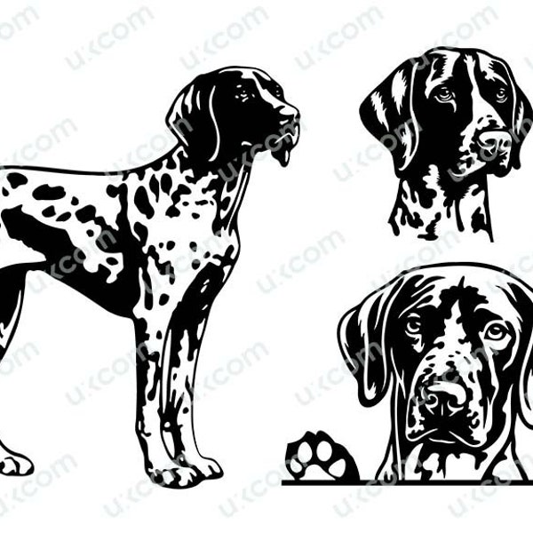 German Shorthaired Pointer SVG  set pointer dad Peeking Dog pointer Commercial bundle PNG EPS dxf Clipart Vector Cricut Cut Cutting File