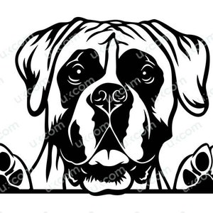 Boxer gluren SVG Happy Boxer SVG hond ras commerciële Canine stamboom schattig Boxer moeder logo PNG EPS clipart vector Cricut cut snijden bestand