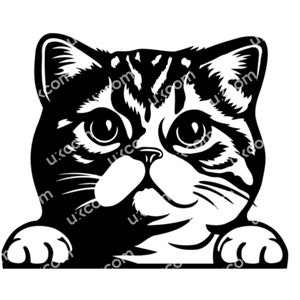 Op de afbeelding: Zwart-witte illustratie van een kattenkop die over een oppervlak kijkt. De kat heeft een gestreept patroon en grote, ronde ogen.