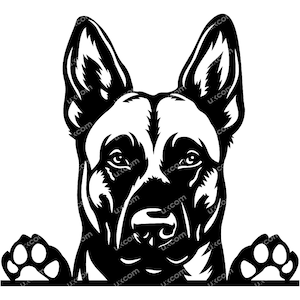 Può includere: Grafica in bianco e nero della testa e delle zampe di un pastore tedesco. Il muso del cane è dettagliato, con orecchie dritte e uno sguardo concentrato. Le zampe sono visibili in basso, dando l'impressione che il cane si affacci da un bordo.