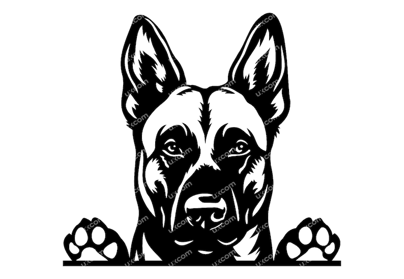 May include: A black and white graphic of a German Shepherd dog's head and paws. The dog's face is detailed, with upright ears and a focused gaze. The paws are visible at the bottom, giving the impression of the dog peeking over an edge.