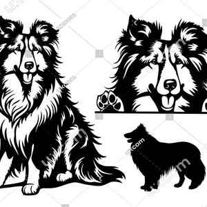 Ruwe Collie Gluren Hond 3 Set bundel Ras Stamboom Canine Logo SVG PNG EPS dxf Collie Clipart Collie Vector Cricut Cut File vinyl laser
