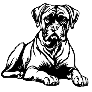 Boxer liggend SVG gelukkig Boxer SVG Boxer volledige lichaam Boxer hond ras commerciële Boxer Canine CNC DXF EPS PNG clipart vector Cricut gesneden bestand vinyl