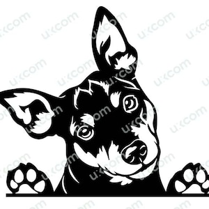 Mini Pinscher SVG gluren mini pin moeder ras gesneden bestand Pinscher hond poten commerciële logo SVG PNG EPS DXF clipart vector Cricut