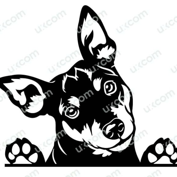 Mini Pinscher svg Peeking mini pin mom cut file Pinscher dog breed peeking paws pin commercial Logo SVG PNG EPS dxf Clipart Vector Cricut