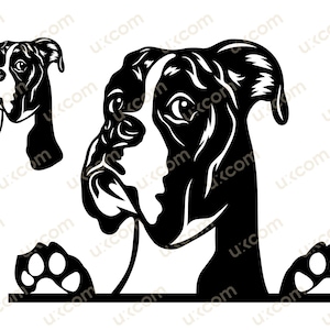 Boxer furtivement svg drôle boxeur clipart côté oeil Commercial Canine boxer chien DXF PNG EPS Clipart Vector Cricut Cut Cutting File vinyle laser