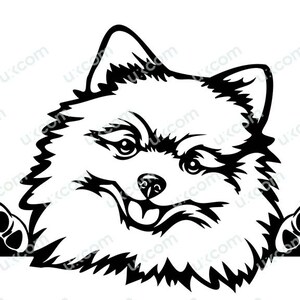 Cute Pomeranian Peeking Dog Commercial Breed Pedigree Canine Pet Animal Logo SVG Dxf PNG EPS Clipart Cricut Cut Cutting File