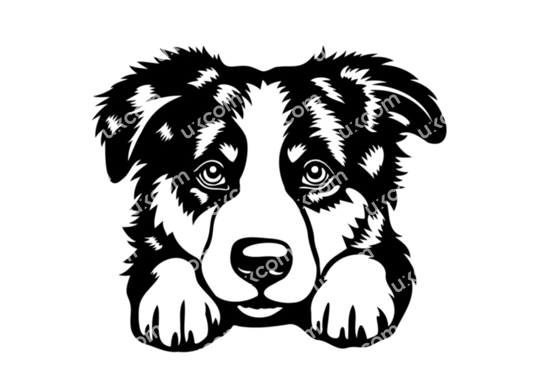 Aussie Svg Australian Shepherd Peeking Dog Aussie Breed Cute Aussie ...