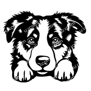 Aussie SVG Australische herder Gluren Hond Aussie Ras Schattig Aussie clipart CNC SVG Dxf Png EPS Vector Cricut Cut File Aussie vinyl laser