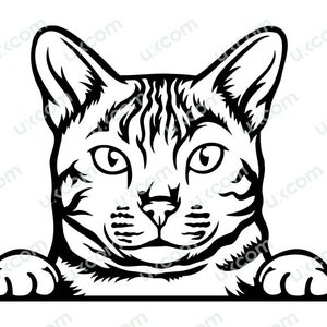 Bengal cat svg Peeking paws Commercial cute Puppy kitty Pet Breed Logo .SVG .PNG Clipart Vector Cricut Cut Cutting