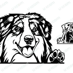 Australian Shepherd Aussie Peeking Dog Breed Commercial Aussie Mom Aussie SVG Dxf PNG EPS Clipart Cricut Cut Cutting File