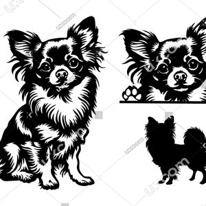 Chihuahua Peeking Dog 3 Commercial bundle longhaired chihuahua SVG set PNG EPS dxf cute Chihuahua Clipart Vector Cricut vinyl laser Cut File