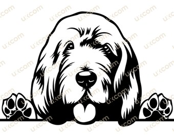 May include: Black and white illustration of a Bloodhound dog peeking over a surface with its paws visible. The dog has a serious expression and is looking directly at the viewer.