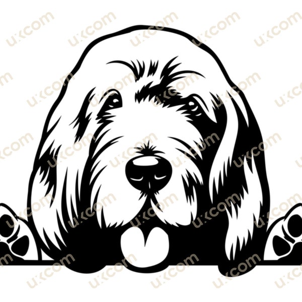 Otterhound Peeking paws happy otterhound svg Commercial breed dog Cute Pedigree Pet Breed Logo .SVG .PNG Clipart Vector Cricut Cut Cutting