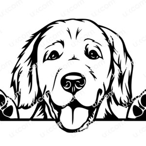 Golden Retriever Labrador Peeking Dog golden retriever svg Razza commerciale Pedigree Canine Logo SVG PNG EPS Clipart Cricut Cut File di taglio