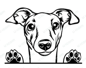 Galgo italiano svg galgo espiando cachorro comercial galgo fofo arquivo cortado SVG PNG EPS Dxf Ai Clipart Vetor Cricut decalques de vinil laser