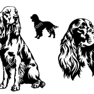 Setter irlandese svg set 3 Setter irlandese Peeking Dog Pacchetto commerciale cane razza canino dxf PNG EPS Clipart Vector Cricut Cut Taglio File vinile