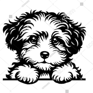 Maltipoo svg Peeking Dog Commercial happy cute maltipoo mom Pedigree PNG EPS Clipart Vector Cricut Laser Cut Cutting File digital download