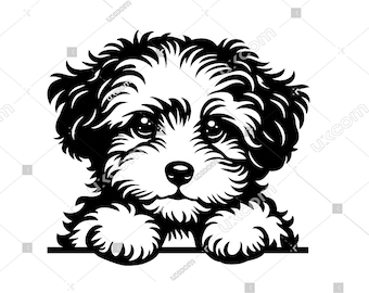 Maltipoo svg Peeking Dog Commercial happy cute maltipoo mom Pedigree PNG EPS Clipart Vector Cricut Laser Cut Cutting File digital download