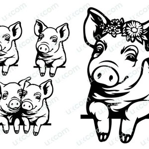 Niedliches Schweinchen-Set, kommerziell spähende Ferkelfarm, Blumenschwein, Blumenlogo, Liebestiere, Vegab SVG, PNG, EPS, Clipart, Vektor, Cricut, Schnittdatei