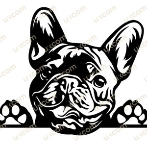 French bulldog Peeking Dog paws Commercial Frenchie happy french bulldog svg canine PNG EPS Clipart Vector Cricut Cut Cutting File instant