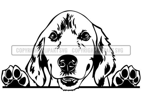 Buy Golden Retriever Labrador Peeking Dog Paws Commercial Breed Online in India - Etsy Buy Golden Retriever Labrador Peeking Dog Paws Commercial Breed Online in India - Etsy