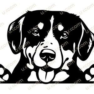 Entlebucher Sennenhund späht Pfoten Entlebucher SVG Kommerzielle Rasse Hundehund Tier Logo Dxf png EPS Clipart Cricut Cut Cutting File