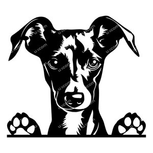 Lévrier italien svg lévrier furtivement chien commercial mignon lévrier coupé fichier SVG PNG EPS Dxf Ai Clipart Vector Cricut vinyle décalcomanies laser