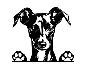May include: Black and white silhouette of a dog peeking over a surface with its paws visible. The dog has a short, smooth coat and a long, pointed snout.