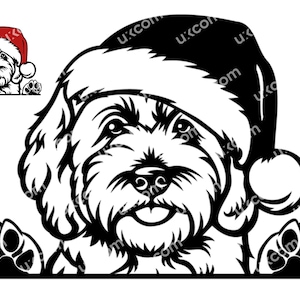 Labradoodle Goldendoodle Peeking Dog Commercial Doodle Mom Santa Hat ...